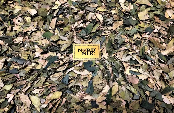 Leaf harvest & raw material